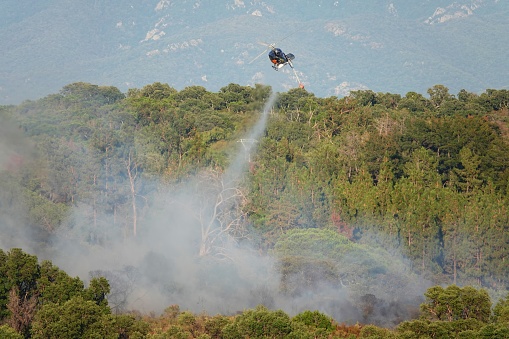 Incendie sur les hauteurs d'Ajaccio. L'hélicoptère bombardier se charge d'accéder aux endroits difficiles dans le maquis sec de l'été en Corse
