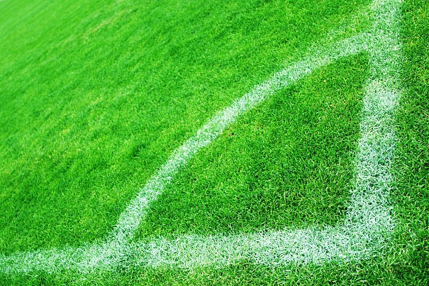 istock Corner of Soccer Field 155134931