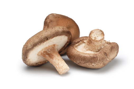 Small group of shitake musrooms isolated on white.