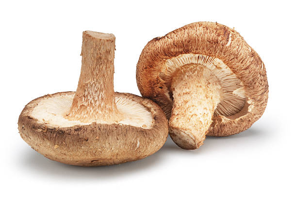 champignons - edible mushroom shiitake mushroom vegetable isolated photos et images de collection