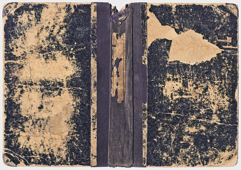 This Large, High Resolution Scan of Antique Run-Down Book Front and Back Hard Cover, is defined with exceptional details and richness, and equipped with precise Clipping Path, thus representing the excellent choice for implementation within various CG Projects. 