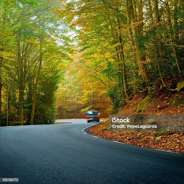 Estrada Sinuosa Em Uma Bela Floresta - Fotografias de stock e mais imagens de Alfalto - Alfalto, Amarelo, Ao Ar Livre