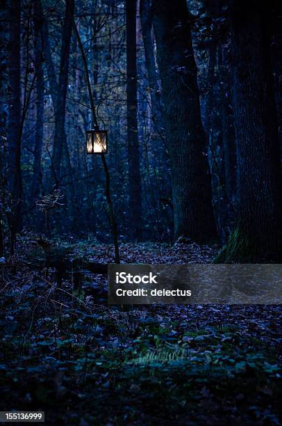 Mystischen Wald Entfernt Stockfoto und mehr Bilder von Wald - Wald, Nacht, Kerze