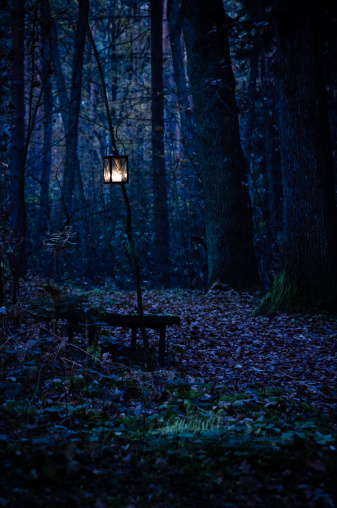 Lantern in a dark mystic forest. cold light mood