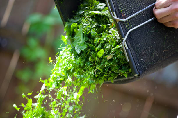 czyszczenie trawa pole - garden waste zdjęcia i obrazy z banku zdjęć