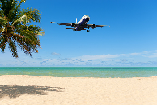 Airplane arriving at a tropical beach holiday resort, showing white sandy beach, green ocean, blue sky and a coconut palm tree