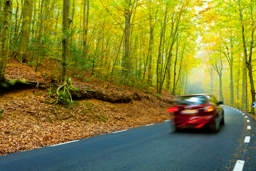 Road in a beautiful forest in autumn.  Car in motion blur for speed effect.