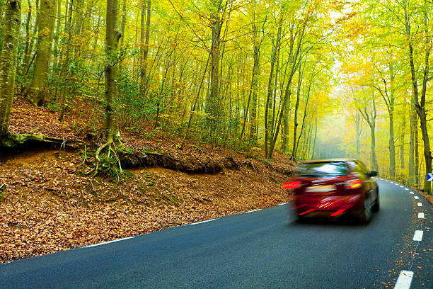 estrada em uma bela floresta no outono - road country road empty autumn - fotografias e filmes do acervo