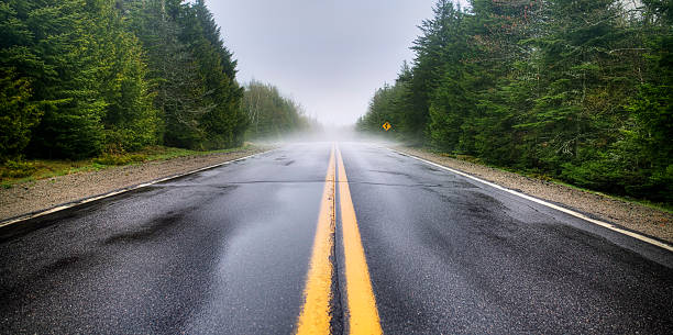 guidare verso l'ignoto - meteorology rain fog forest foto e immagini stock