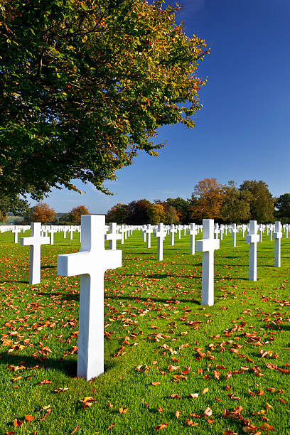 istock Military Cemetery Crosses 155138426