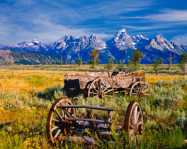 istock Rustic wagon in the Grand Teton National Park 155138467