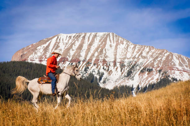 istock cowboy rocky mountain landscape 155138651