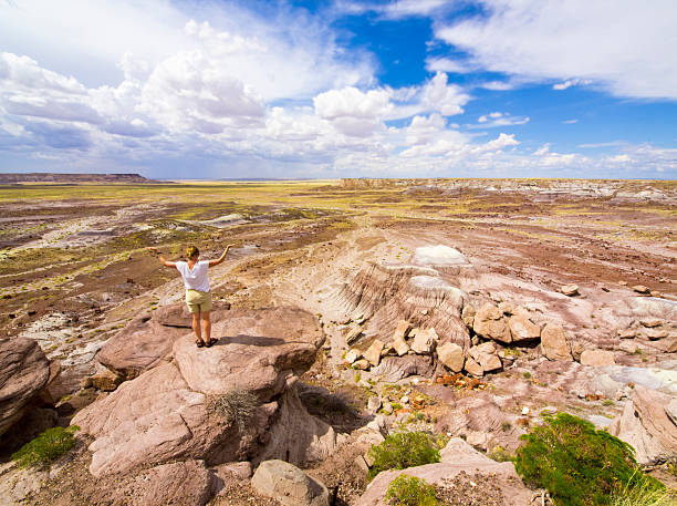 istock Top view of Painted desert 155138727