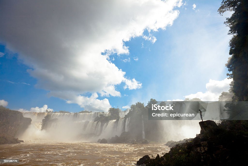 Admira el poder de la naturaleza cataratas del iguazú - Foto de stock de Cataratas del Iguazú libre de derechos