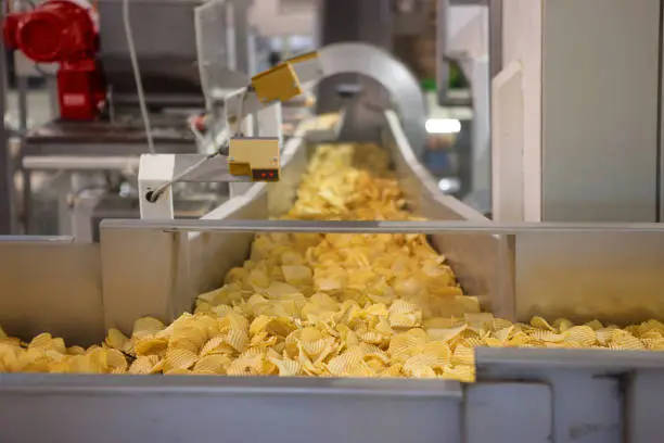 Crisp conveyor