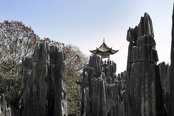 stone forest, kunming, china - the stone forest - fotografias e filmes do acervo