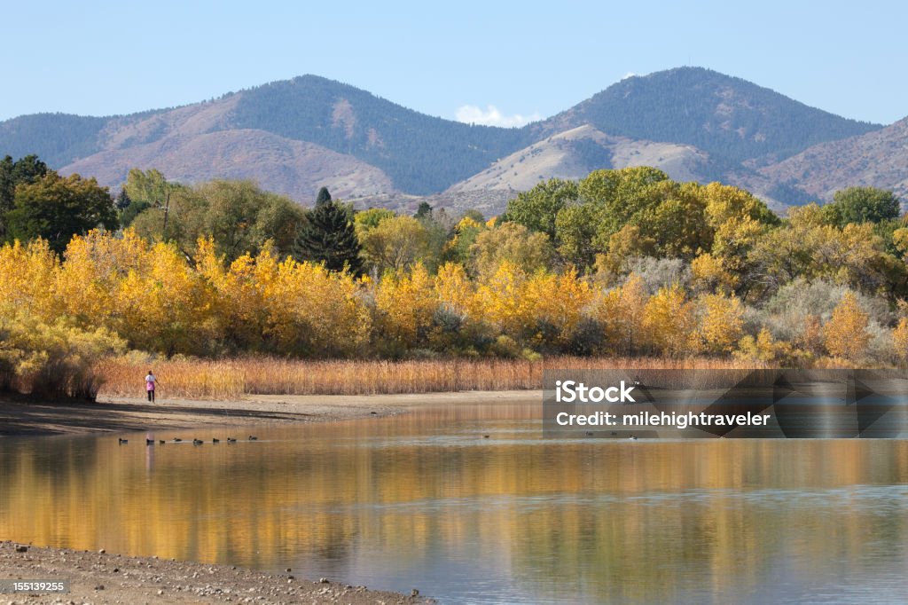 Walker e outono patos em Harriman reservatório de água Denver Colorado - Royalty-free Reservatório Foto de stock