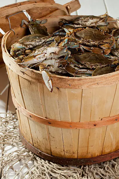 Photo of Bushel Basket of Blue Claws