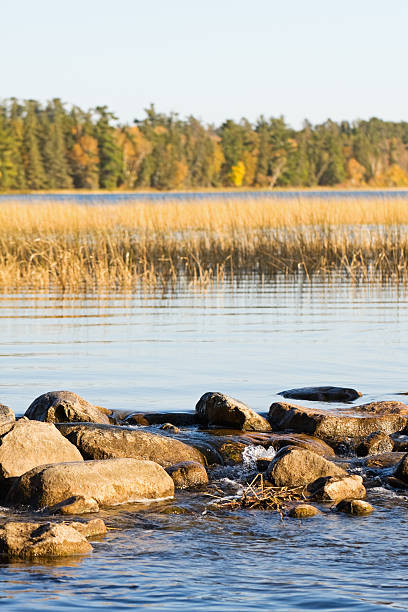 Stones in water