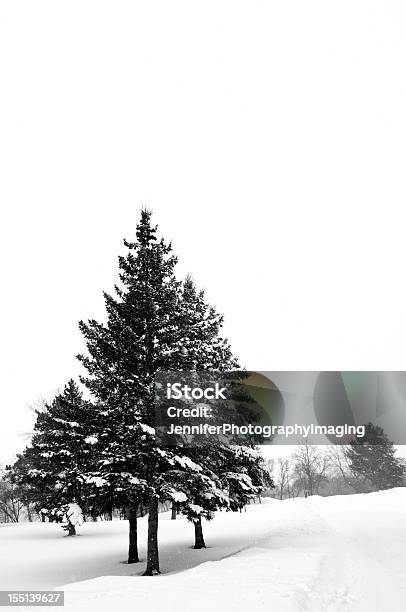 Paisagem De Inverno - Fotografias de stock e mais imagens de Ao Ar Livre - Ao Ar Livre, Branco, Centro-oeste dos Estados Unidos