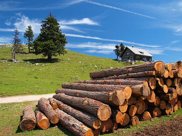 Alpine landscape stock photo