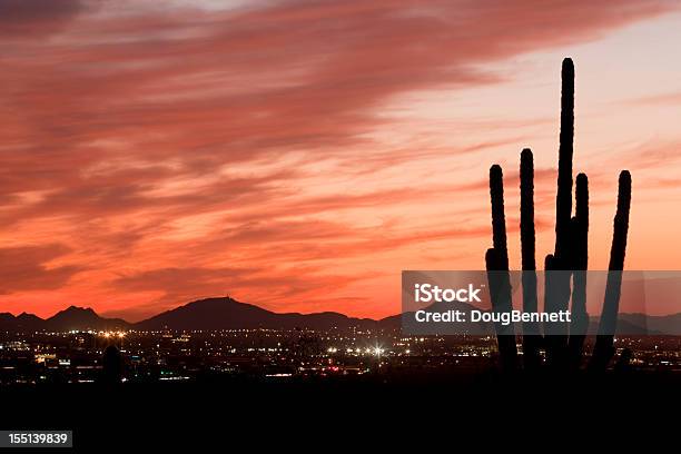 Saguaro Silueta Al Atardecer En El Desierto De La Ciudad Foto de stock y más banco de imágenes de Scottsdale