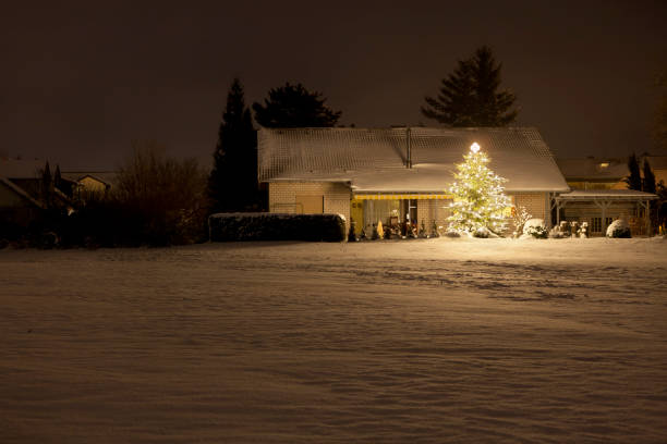 istock House With Tall Christmas Tree At Night 155140509