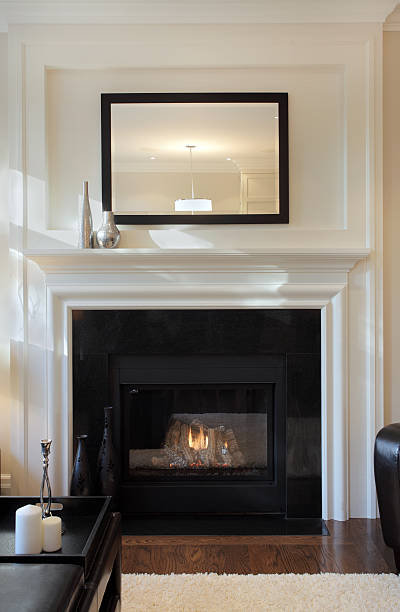 istock Brand New North American Home 155140648