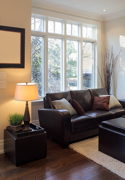 istock Brand New North American Home 155140649