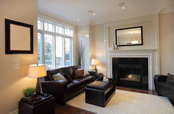 istock Brand New North American Home 155140663