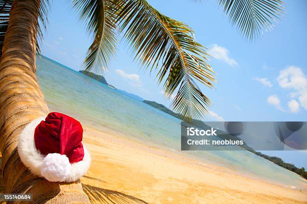 Chapéu Do Pai Natal Em Palmeira - Fotografias de stock e mais imagens de Ao Ar Livre - Ao Ar Livre, Areia, Azul