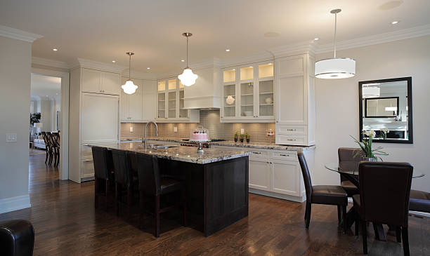 istock Brand New North American Home 155140804