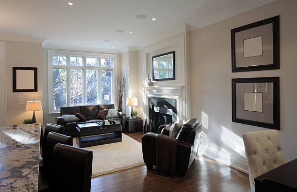 istock Brand New North American Home 155140818