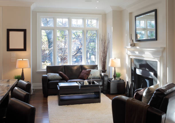 istock Brand New North American Home 155140828