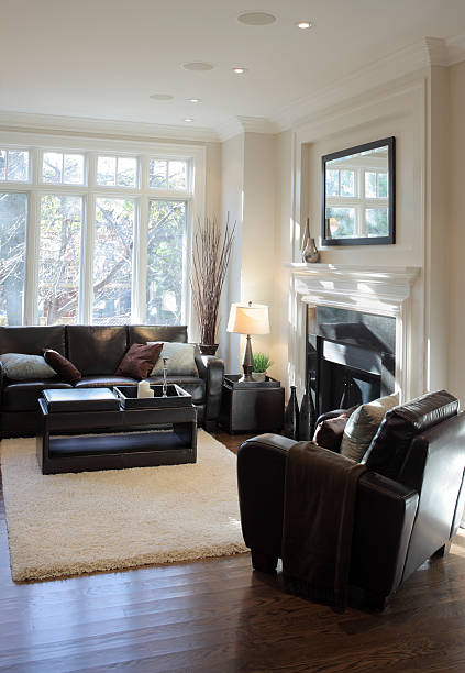 istock Brand New North American Home 155140889