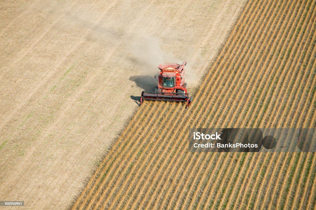 赤は、秋の収穫大豆フィールド空から見たホテル - 大豆のロイヤリティフリーストックフォト