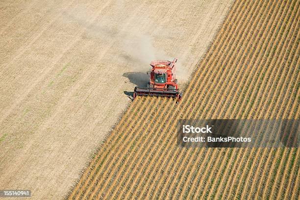赤は秋の収穫大豆フィールド空から見たホテル - 大豆のストックフォトや画像を多数ご用意 - 大豆, 収穫する, 作物