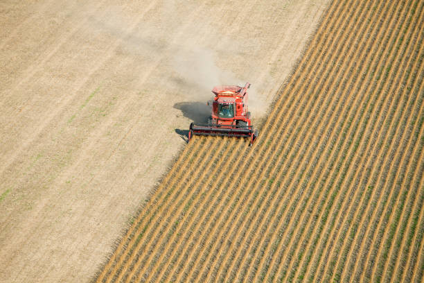 Red Combine Harvesting Fall Soybean Field Aerial