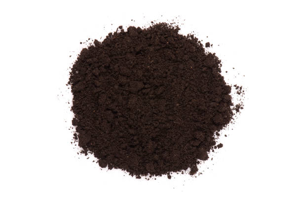 Small pile of dark compost soil on white