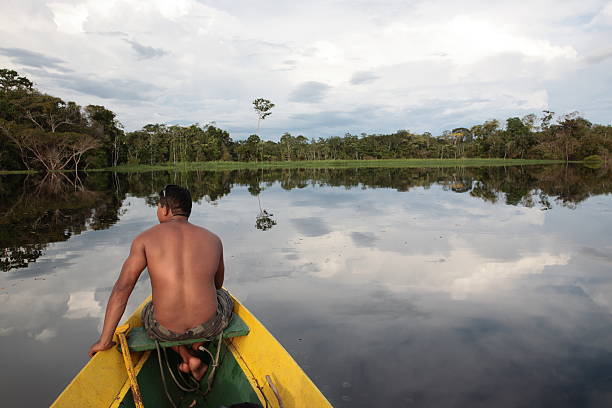 la jungle coucher de soleil sur le fleuve amazone - rainforest brazil amazon river amazon rainforest photos et images de collection