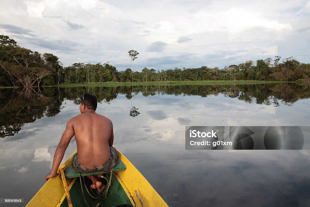 Amazon zachód słońca w dżungli river - Zbiór zdjęć royalty-free (Nizina Amazonki)