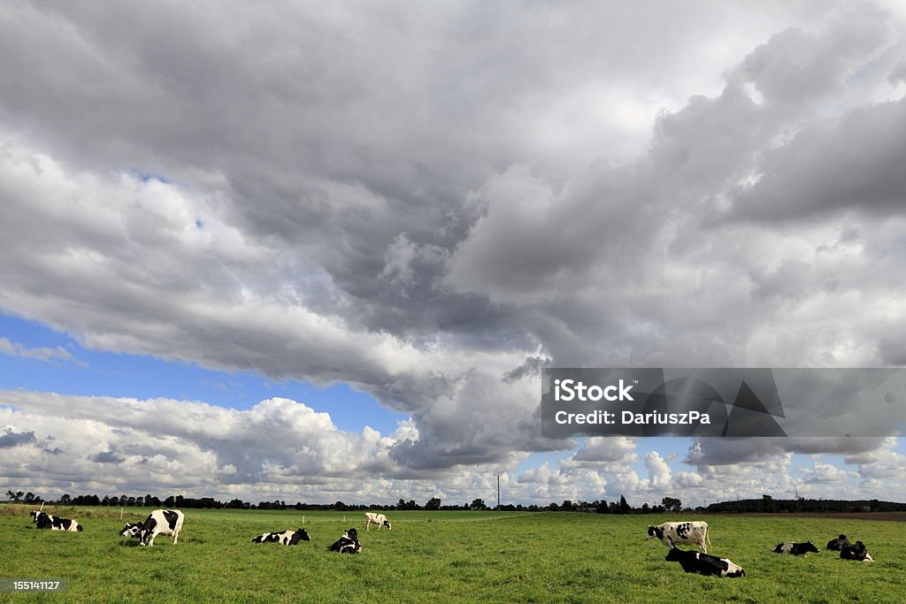 Paesaggio nuvoloso e animali della fattoria - Foto stock royalty-free di Agricoltura