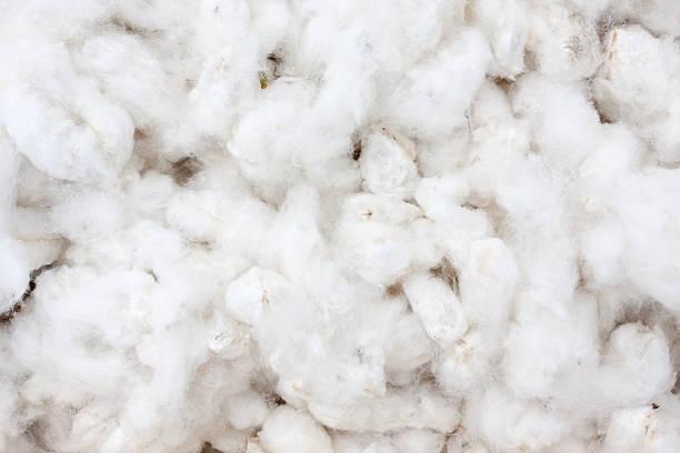 Raw Cotton Crops Raw cotton crops texture background cotton ball stock pictures, royalty-free photos & images