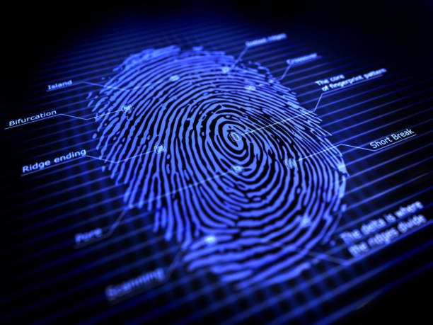 指紋 - fingerprint security system technology forensic science ストックフォトと画像