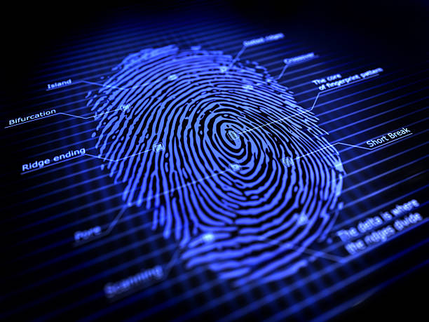 fingerprint 3d fingerprint identification system forensic science stock pictures, royalty-free photos & images