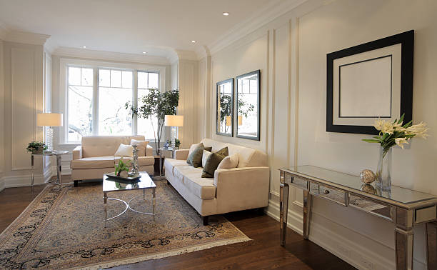 istock Brand New North American Home 155141636