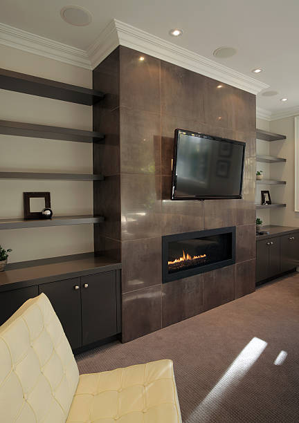 istock Brand New North American Home 155141698