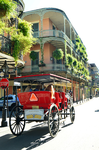 building with iron balcony with green flowers in french quarter of New Orleans, USA