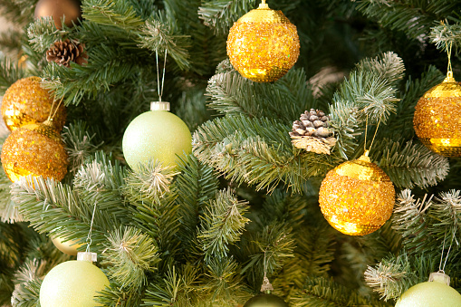 Decorated Christmas tree\n\n[url=http://www.istockphoto.com/search/lightbox/11540530#183a6c77][img]http://dl.dropbox.com/u/22356538/christmas.jpg[/img][/url]\n\n