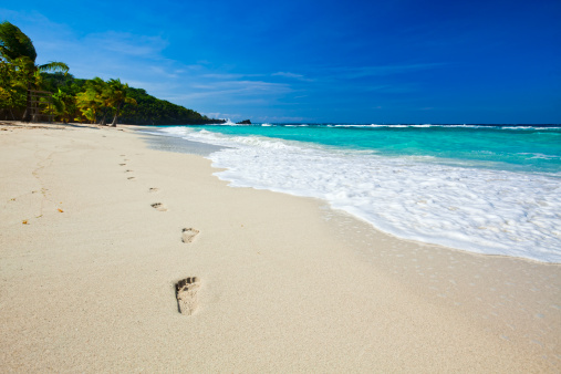 Footprints in sand walk along empty tropical beachhttp://stock.roatanphotography.com/istockphoto/thumbs-beach2.jpg